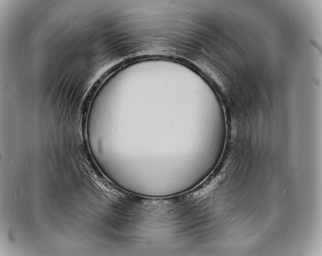 X0000096390830200802141453