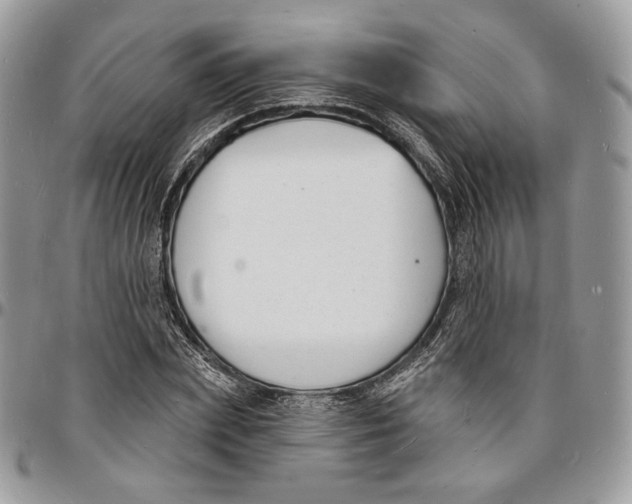 X0000096390831200802141453
