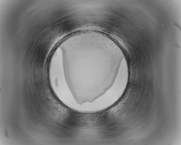 X0000096390832200802141453
