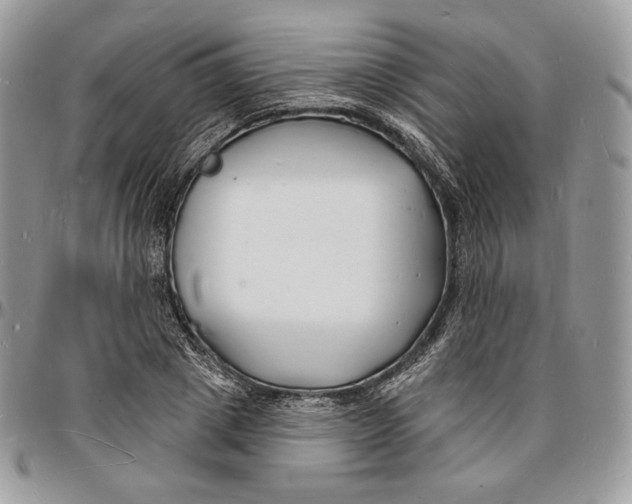 X0000096390833200802141453