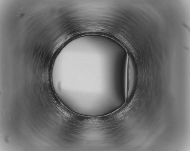X0000096390834200802141453
