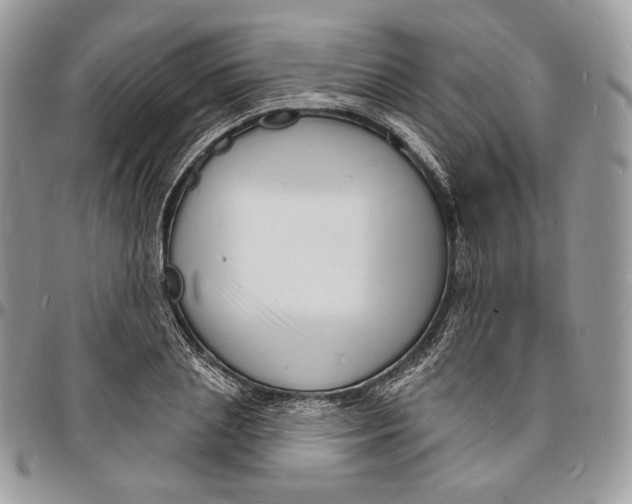 X0000096390837200802141453