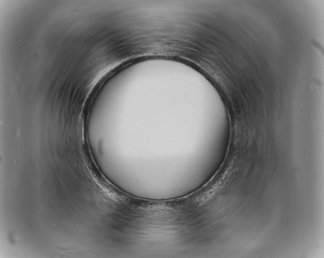 X0000096390838200802141453