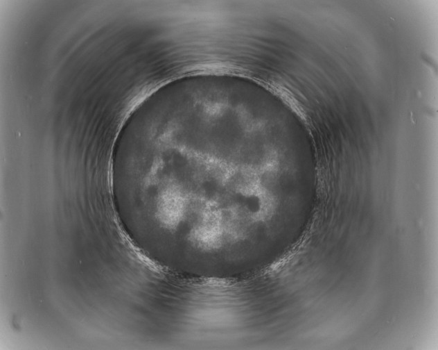 X0000096390839200802141453
