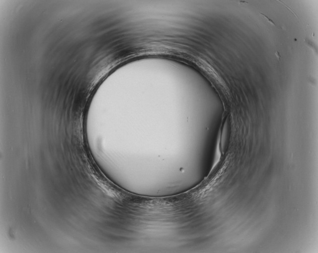 X0000096390842200802141453