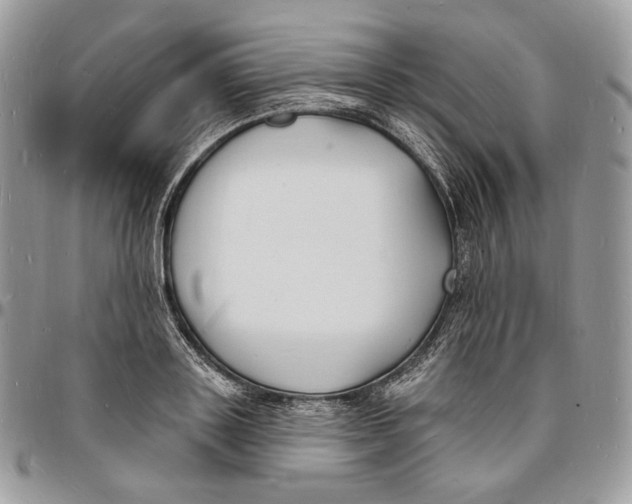 X0000096390843200802141453