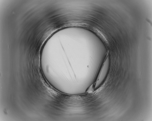 X0000096390844200802141453