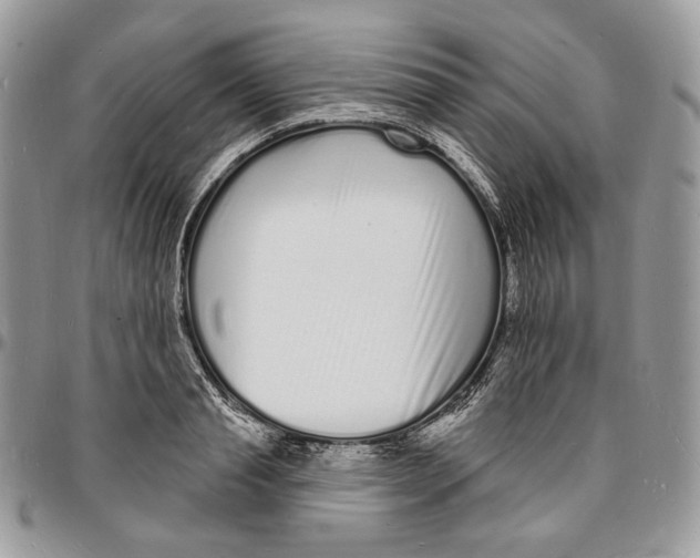 X0000096390845200802141453