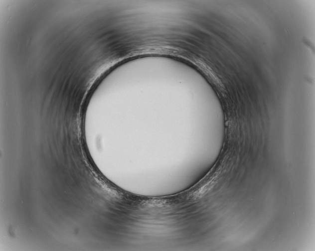 X0000096390846200802141453