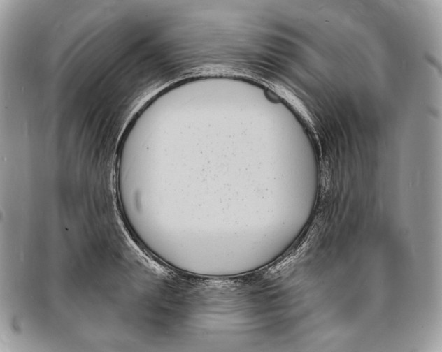 X0000096390847200802141453