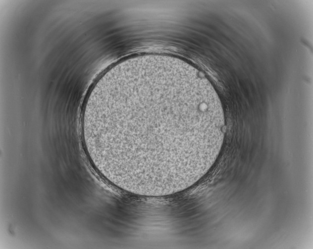 X0000096390848200802141453