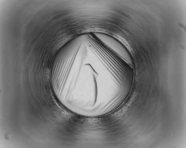 X0000096390849200802141453