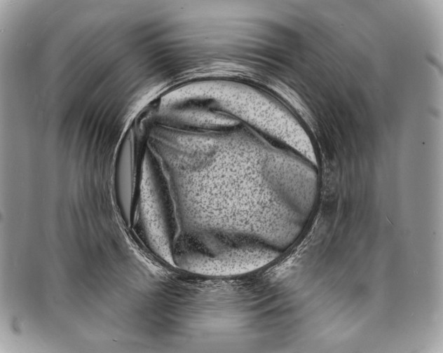 X0000096390850200802141453