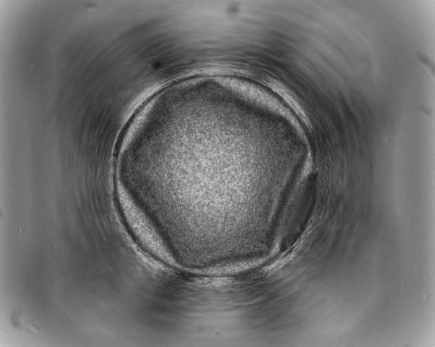 X0000096390853200802141453