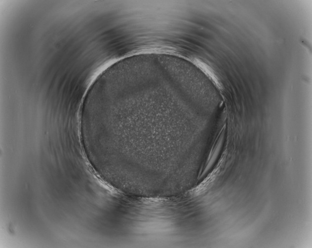 X0000096390854200802141453