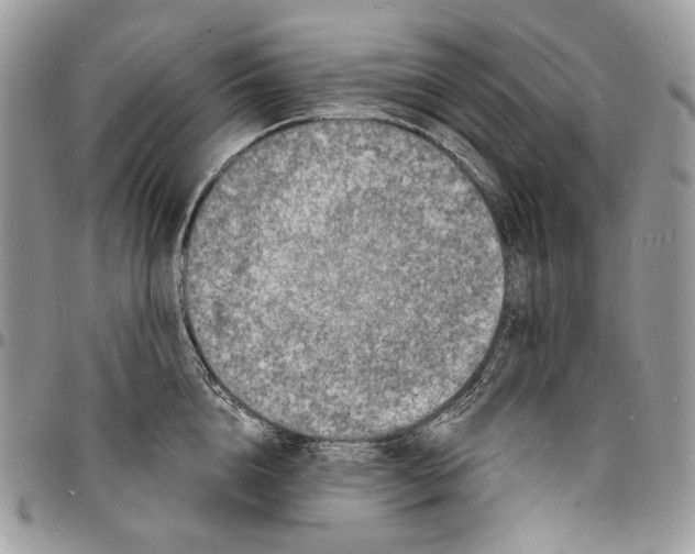 X0000096390856200802141453