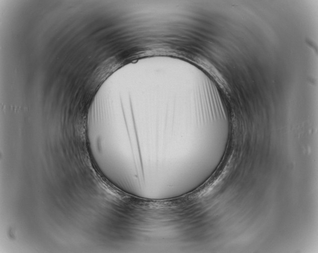 X0000096390857200802141453