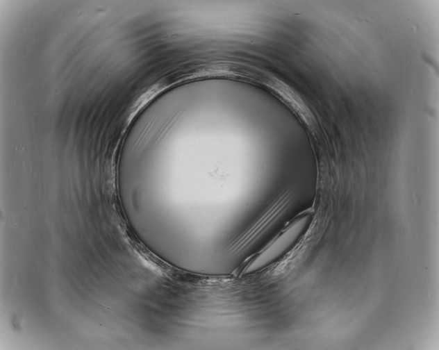 X0000096390858200802141453