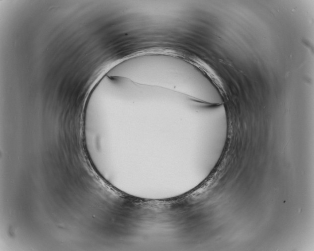 X0000096390860200802141453