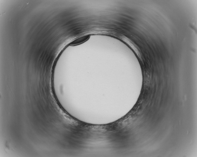 X0000096390861200802141453