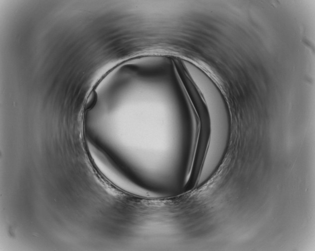 X0000096390862200802141453