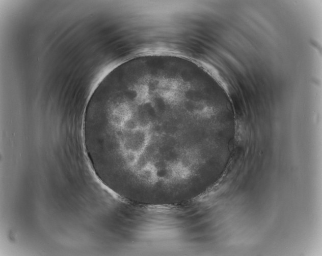 X0000096390863200802141453
