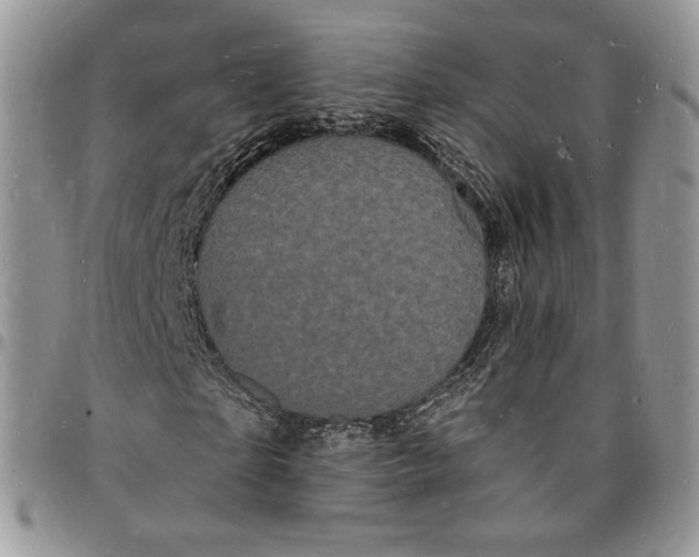 X0000096390865200802141453