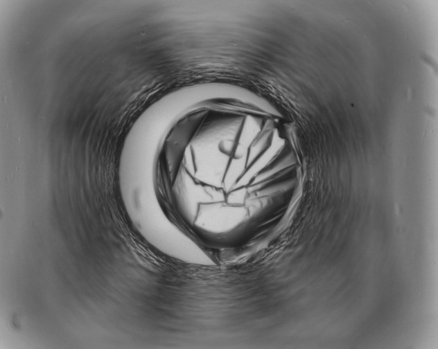 X0000096390868200802141453