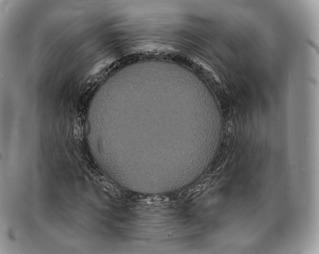 X0000096390869200802141453