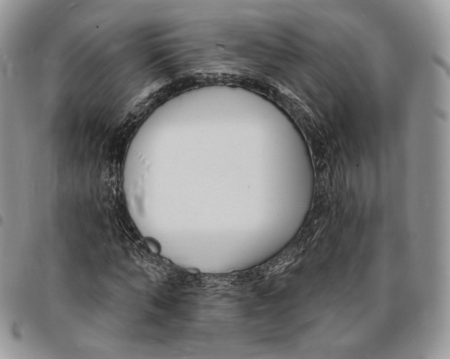 X0000096390870200802141453