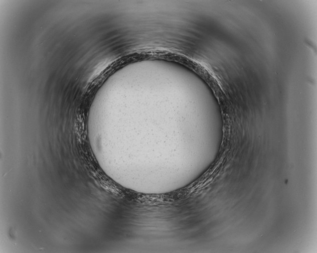 X0000096390871200802141453