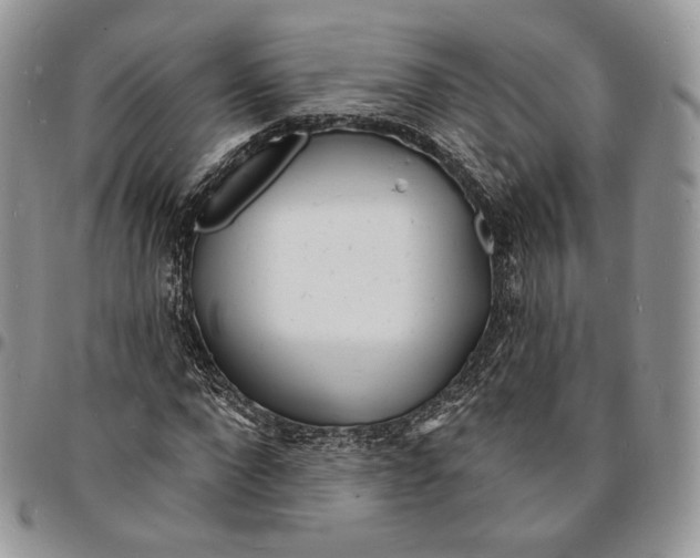 X0000096390872200802141452