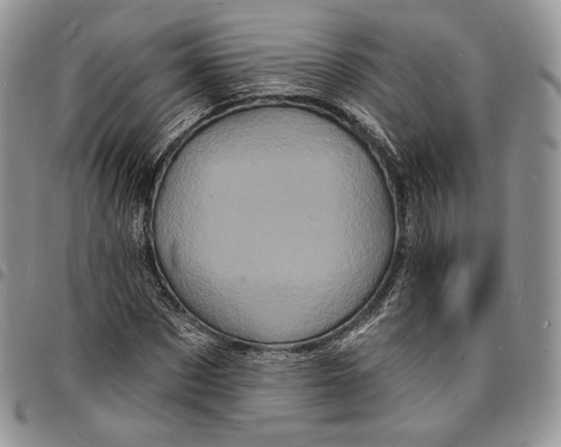 X0000096390873200802141452