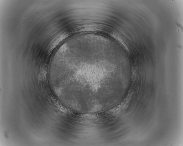X0000096390874200802141452
