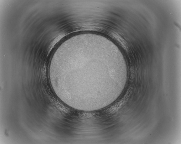 X0000096390875200802141452