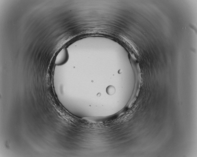 X0000096390876200802141452