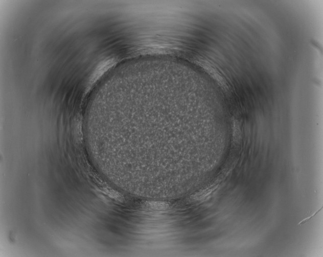 X0000096390878200802141452