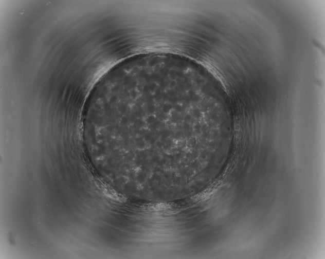 X0000096390879200802141452
