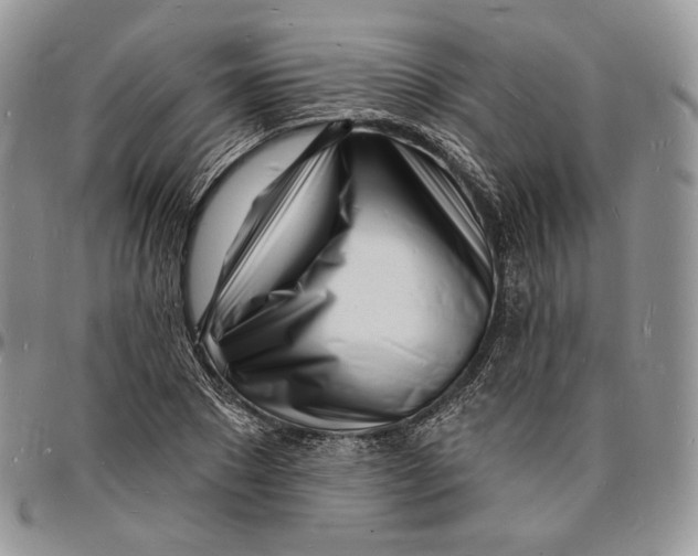 X0000096390881200802141452
