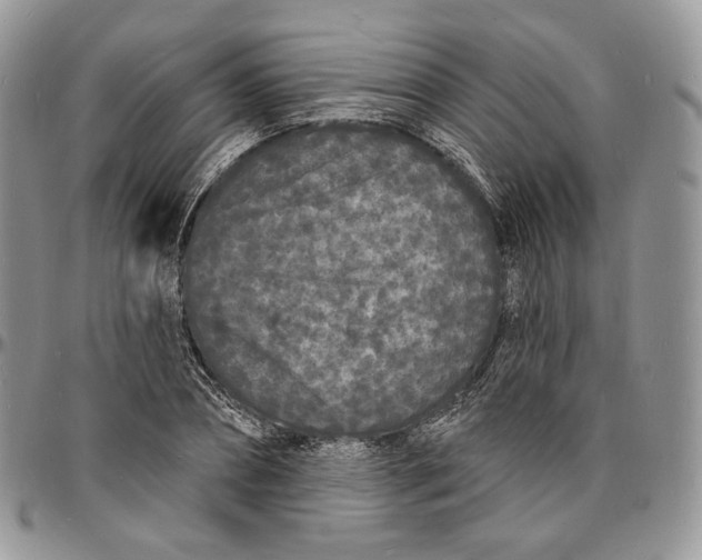 X0000096390882200802141452