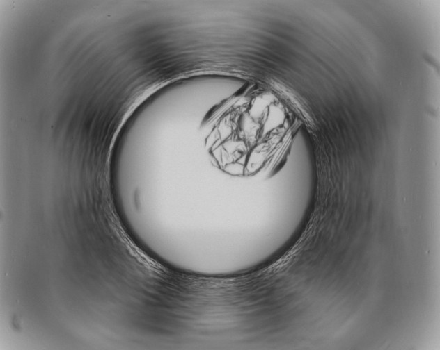 X0000096390884200802141452