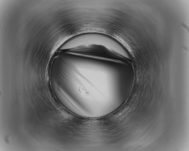 X0000096390885200802141452