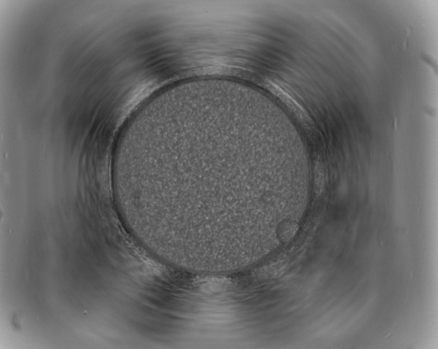 X0000096390886200802141452