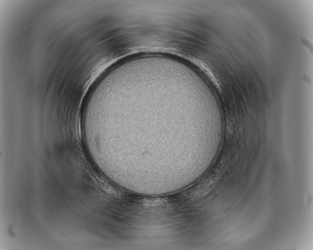 X0000096390887200802141452