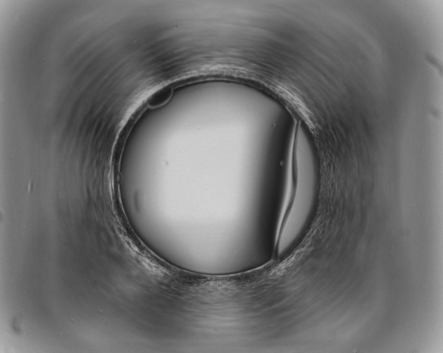 X0000096390888200802141452
