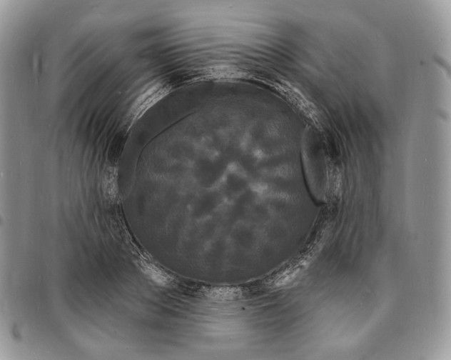 X0000096390889200802141452