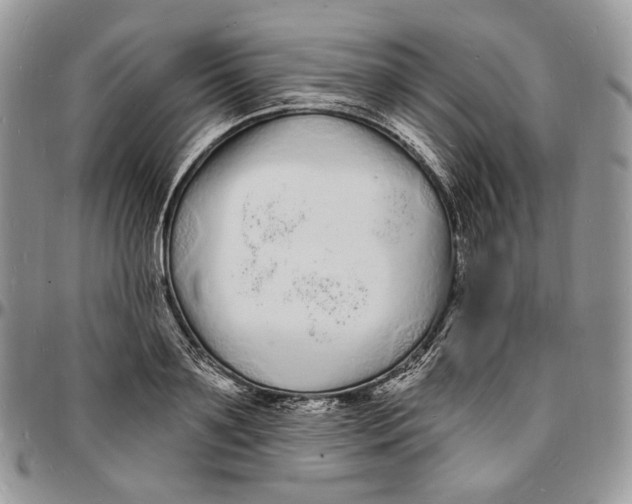X0000096390891200802141452
