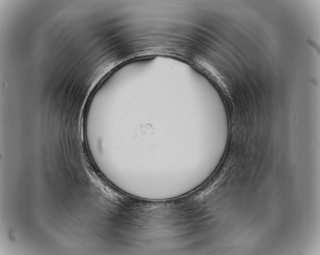 X0000096390892200802141452