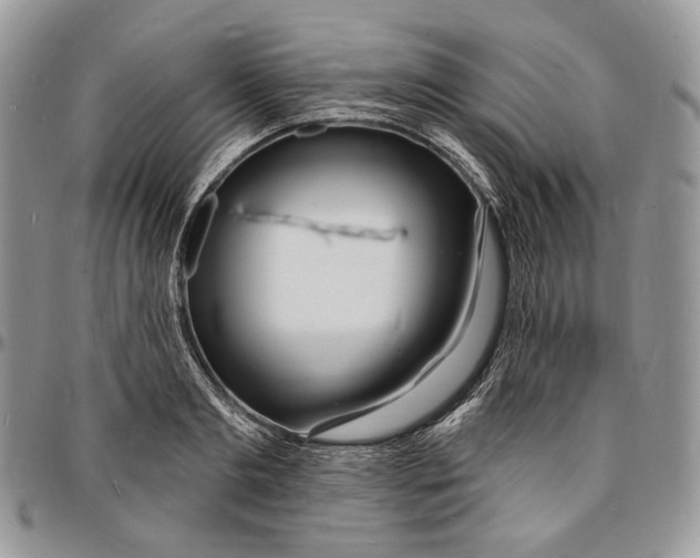X0000096390893200802141452