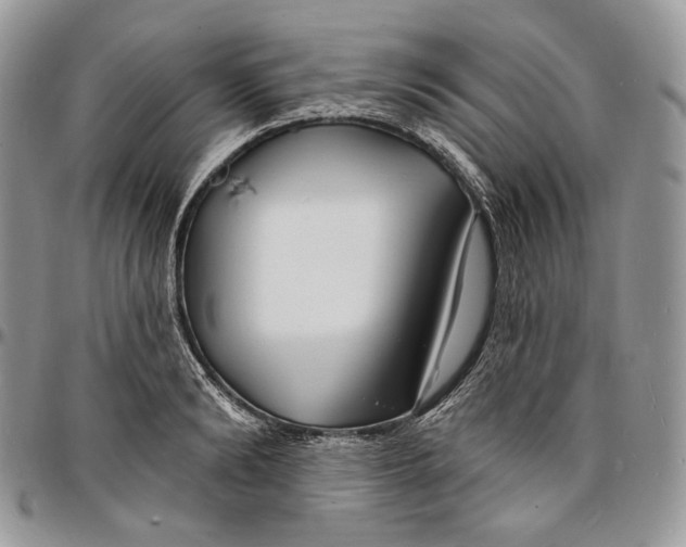 X0000096390894200802141452